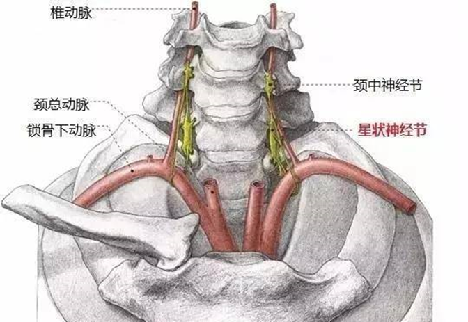 亚健康型身体疼痛_疼痛的健康问题_疼痛健康指数